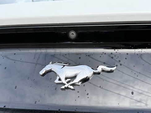 Used 2017 Ford Mustang Coupe w/ Ecoboost Performance Package image 29