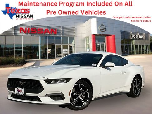 Used 2024 Ford Mustang Premium image 1