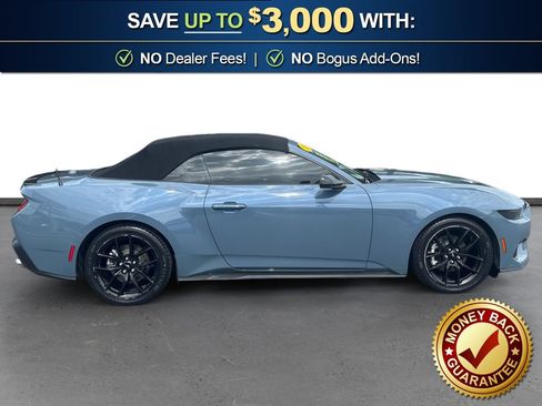 Used 2024 Ford Mustang Premium w/ Mustang Nite Pony Package RWD image 8