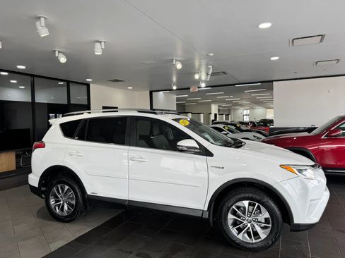 Used 2017 Toyota RAV4 XLE w/ Protection Package image 5