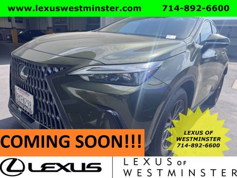 Used 2024 Lexus NX 250 FWD image 1