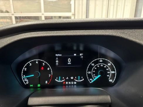 Used 2025 Ford Transit 250 Low Roof w/ Exterior Upgrade Package RWD image 6