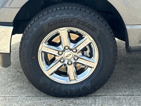 Used 2025 Ford F150 XLT w/ Equipment Group 301A Standard AWD/4WD image 6