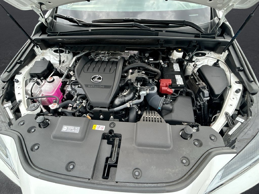Used 2025 Lexus NX 350 AWD w/ Cold Area Package image 12