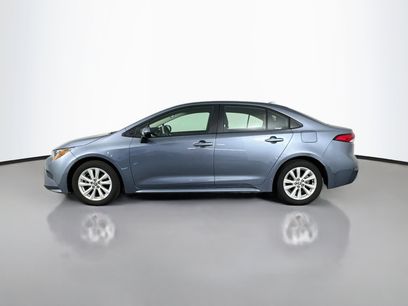 Certified 2026 Toyota Corolla LE w/ LE Premium Package