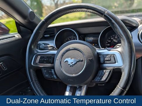 Used 2018 Ford Mustang GT w/ Equipment Group 301A RWD image 14