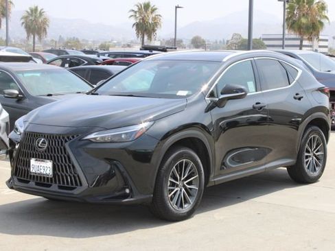 Certified 2025 Lexus NX 350h AWD w/ Cold Area Package image 3