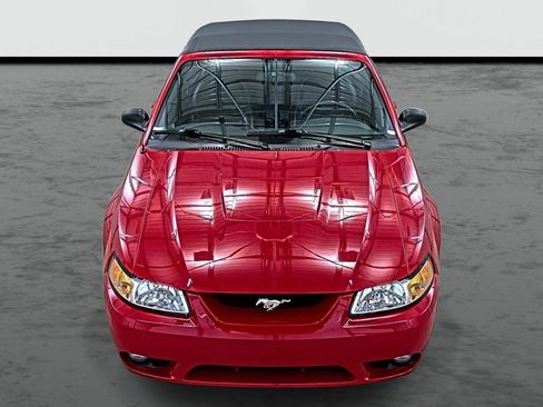Used 1999 Ford Mustang Cobra image 6