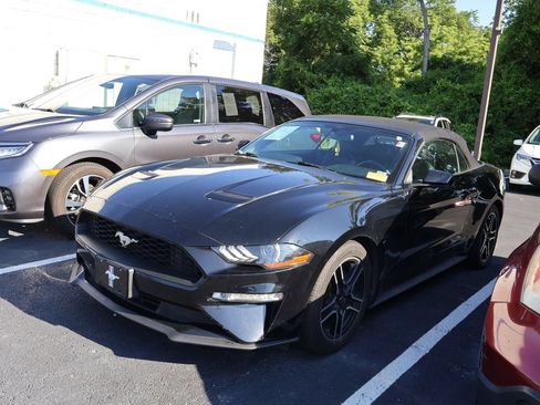 Used 2018 Ford Mustang Premium RWD image 4