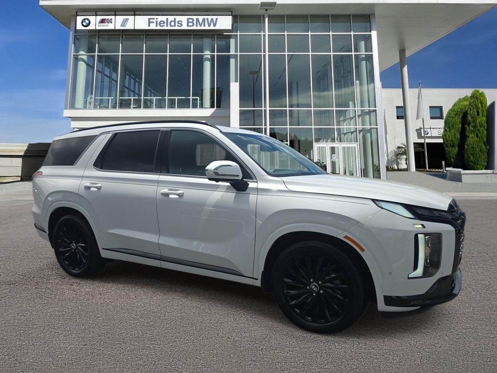 Used 2025 Hyundai Palisade Calligraphy AWD/4WD image 1