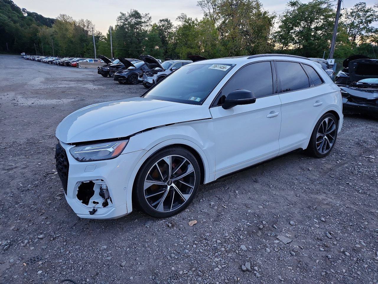 Used 2024 Audi SQ5 Prestige AWD/4WD image 3