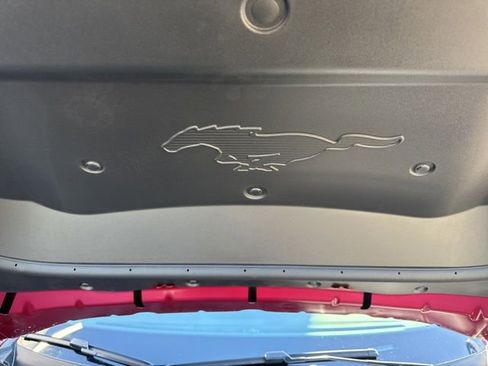 New 2025 Ford Mustang Mach-E Premium image 13