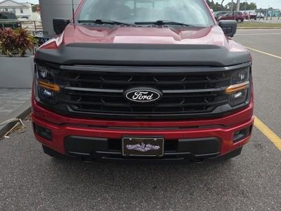 Used 2025 Ford F150 XLT w/ Equipment Group 302A MID