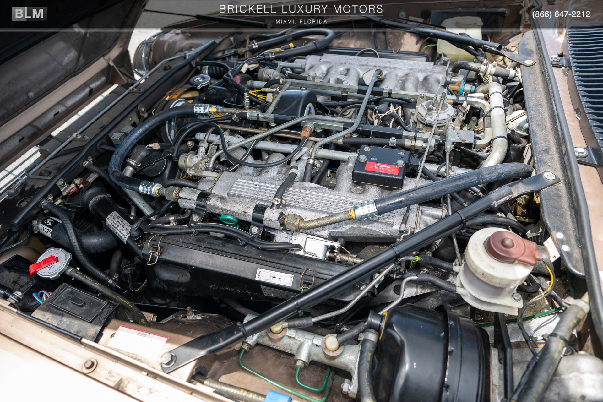 Used 1987 Jaguar XJS V12 Coupe RWD image 31