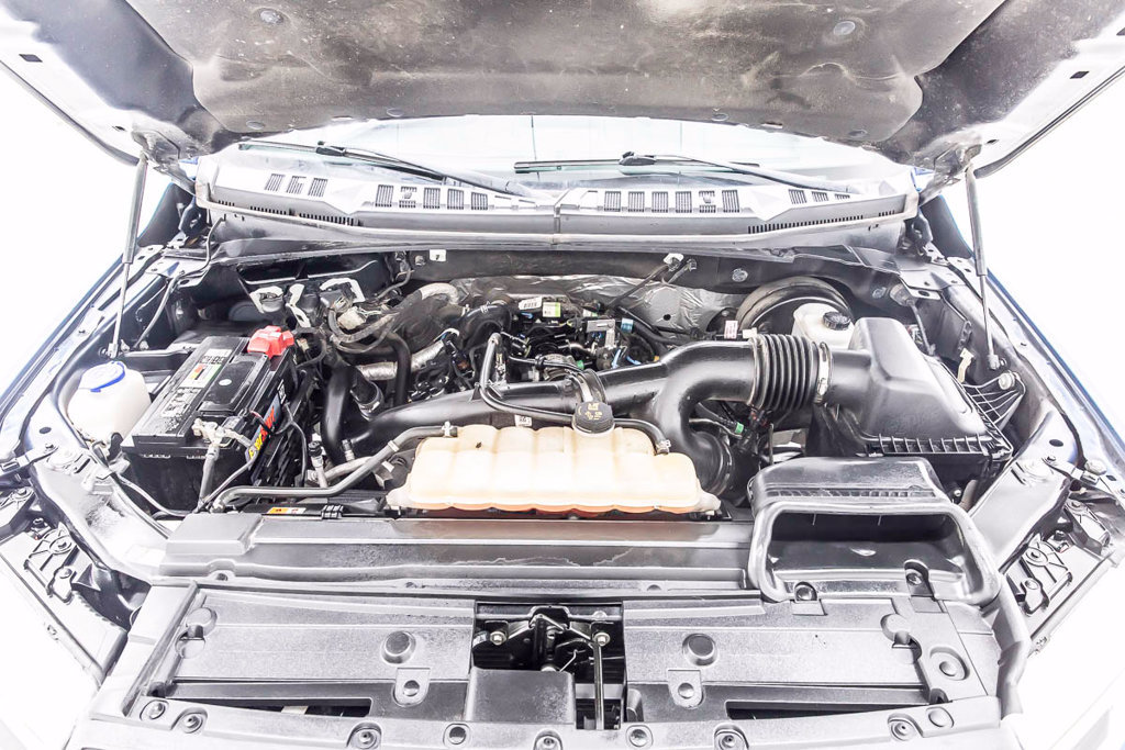 Used 2019 Ford F150 XLT w/ Equipment Group 302A Luxury RWD image 39