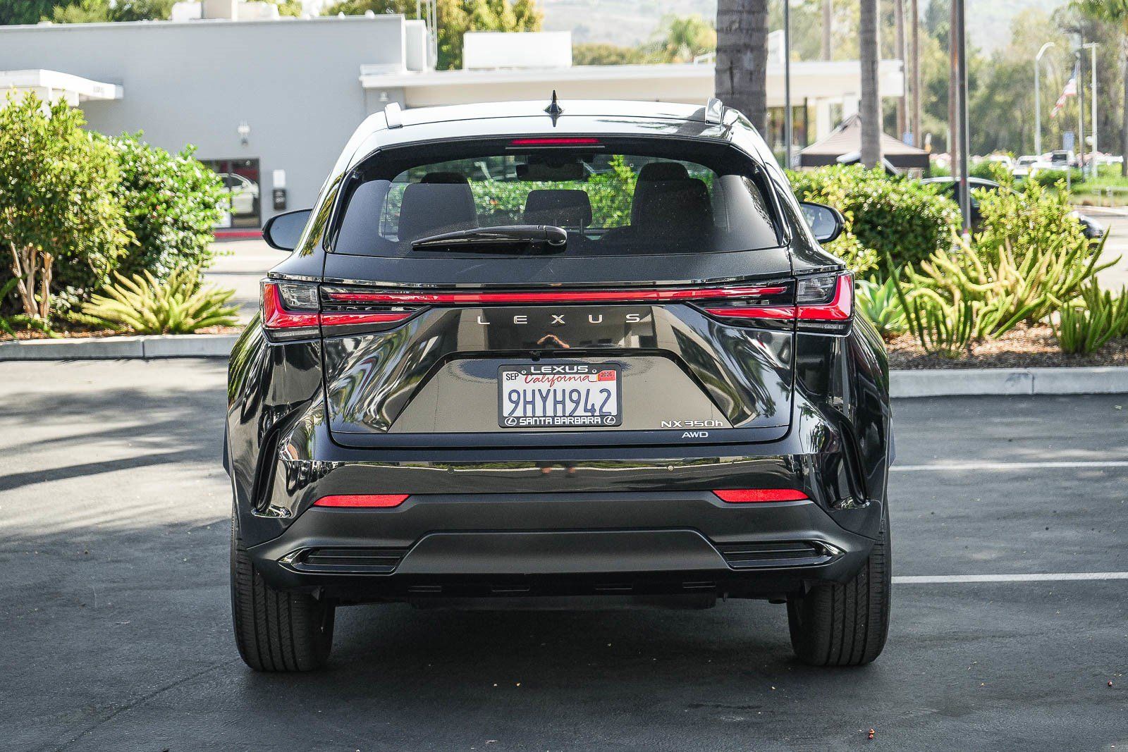 Used 2024 Lexus NX 350h AWD w/ Vision Package image 5