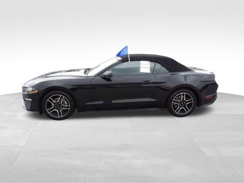 Certified 2023 Ford Mustang Premium image 4