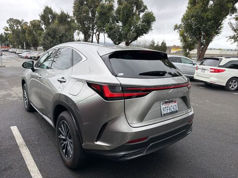 Used 2025 Lexus NX 350h AWD w/ Cold Area Package image 4