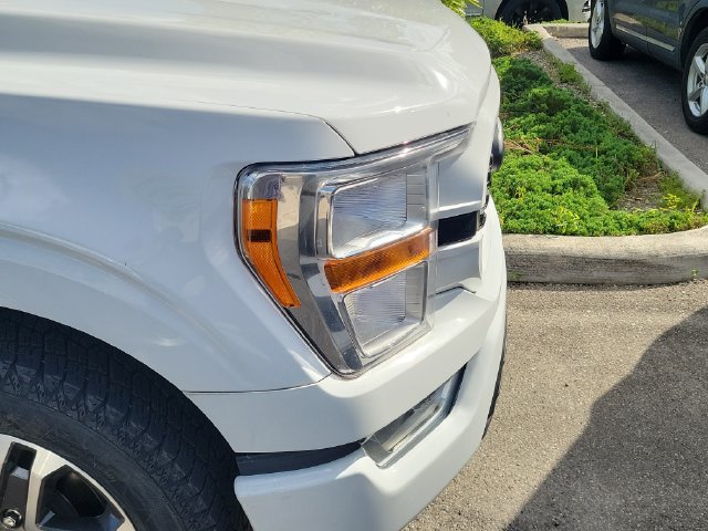 Used 2022 Ford F150 XL w/ STX Appearance Package RWD image 5