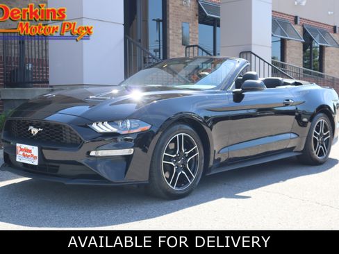 Used 2018 Ford Mustang Premium w/ Equipment Group 201A RWD image 1