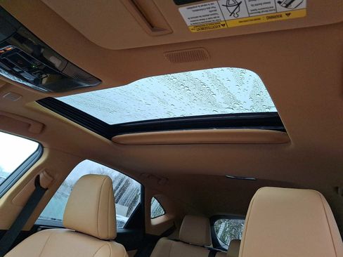 Used 2023 Lexus NX 350h AWD image 11