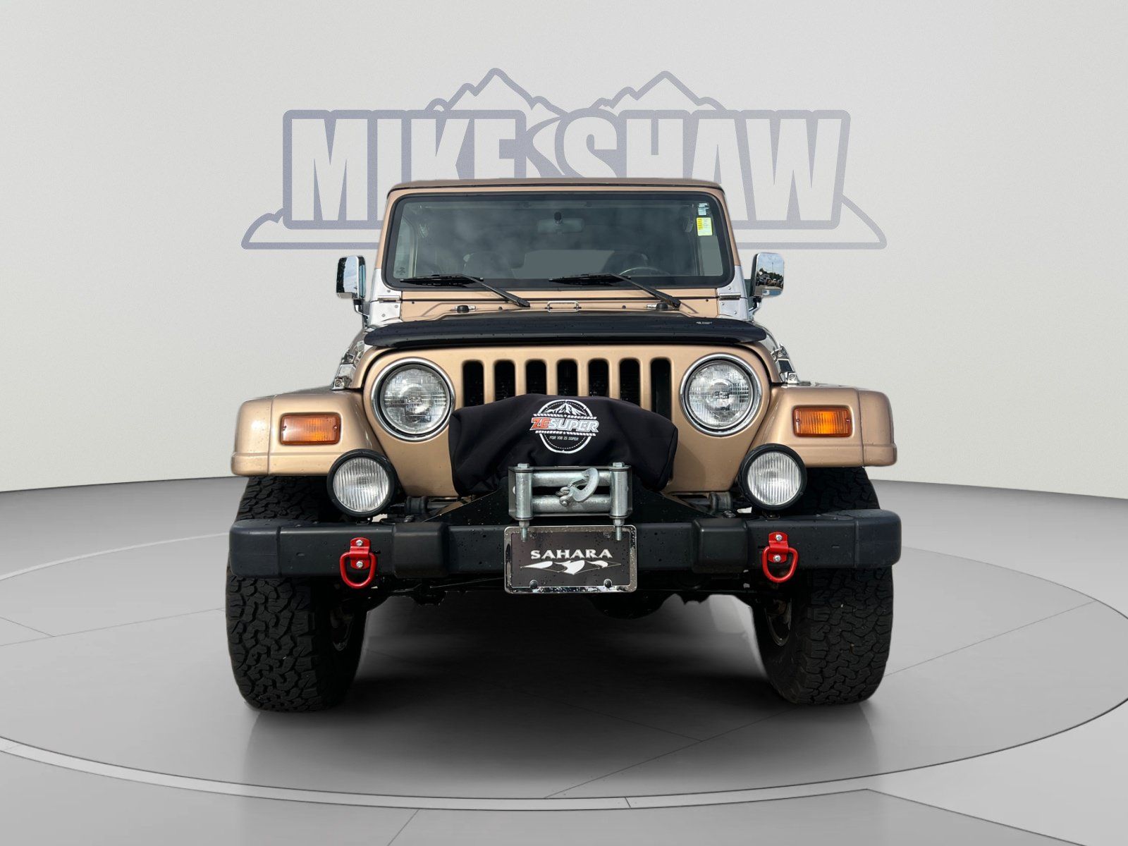Used 1999 Jeep Wrangler Sahara AWD/4WD image 8