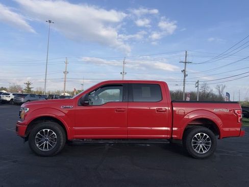 Used 2019 Ford F150 XLT w/ Equipment Group 302A Luxury image 4