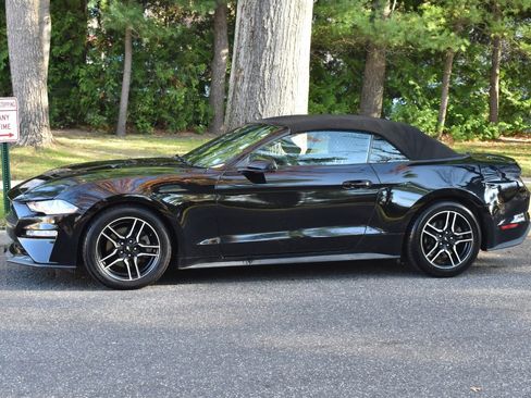 Used 2019 Ford Mustang Premium image 17
