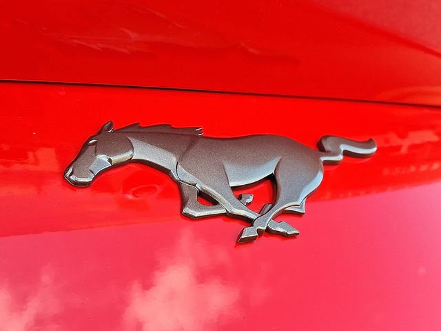New 2026 Ford Mustang Convertible w/ Bronze Appearance Package RWD image 10