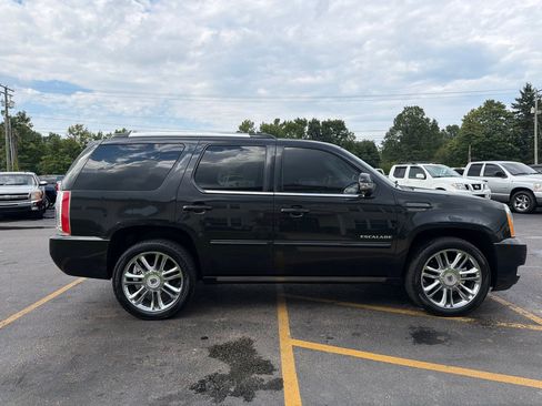 Used 2013 Cadillac Escalade Premium AWD/4WD image 5