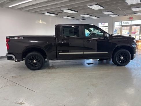 Used 2019 Chevrolet Silverado 1500 LT w/ All-Star Edition image 14
