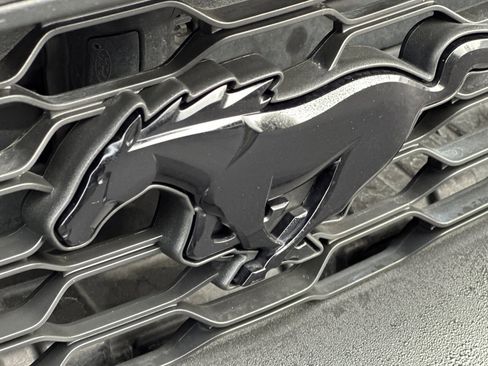 Used 2019 Ford Mustang Coupe w/ Equipment Group 101A image 12