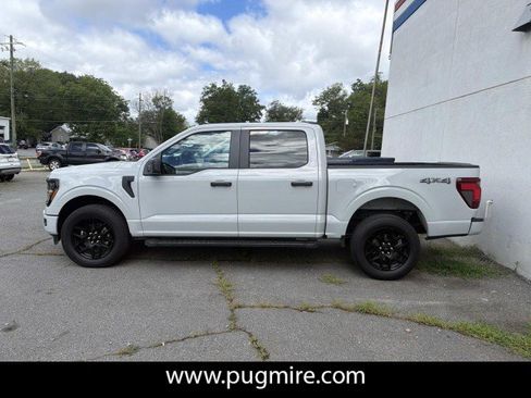 Used 2024 Ford F150 STX w/ STX Black Appearance Package AWD/4WD image 4