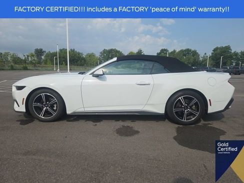 Used 2025 Ford Mustang Premium RWD image 19