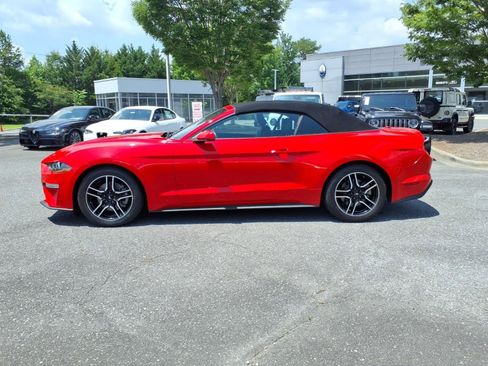 Used 2019 Ford Mustang Premium RWD image 10
