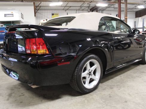 Used 1999 Ford Mustang Cobra RWD image 6