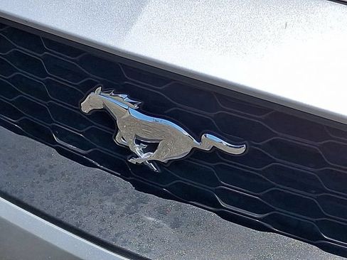 Used 2019 Ford Mustang Premium RWD image 28