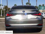 Used 2021 Lexus ES 300h w/ Luxury Package image 5