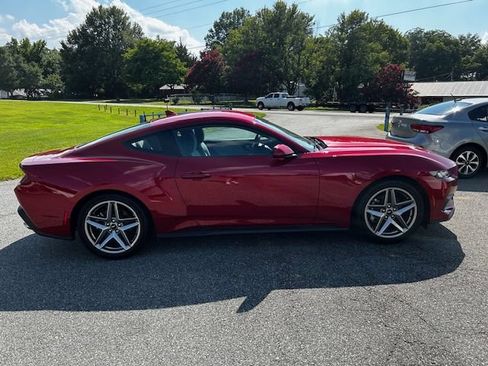 Used 2024 Ford Mustang Coupe RWD image 3
