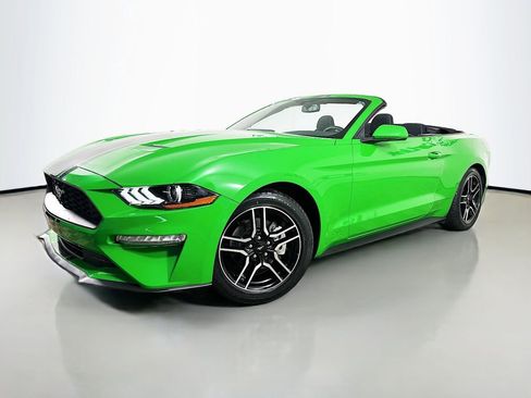 Used 2019 Ford Mustang Convertible w/ Equipment Group 101A image 3
