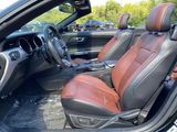 Used 2016 Ford Mustang GT Premium w/ Equipment Group 401A image 4