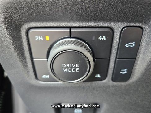 New 2026 Ford Expedition Platinum w/ Stealth Appearance Package image 21