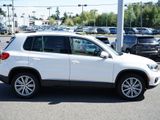 Used 2014 Volkswagen Tiguan SEL image 6