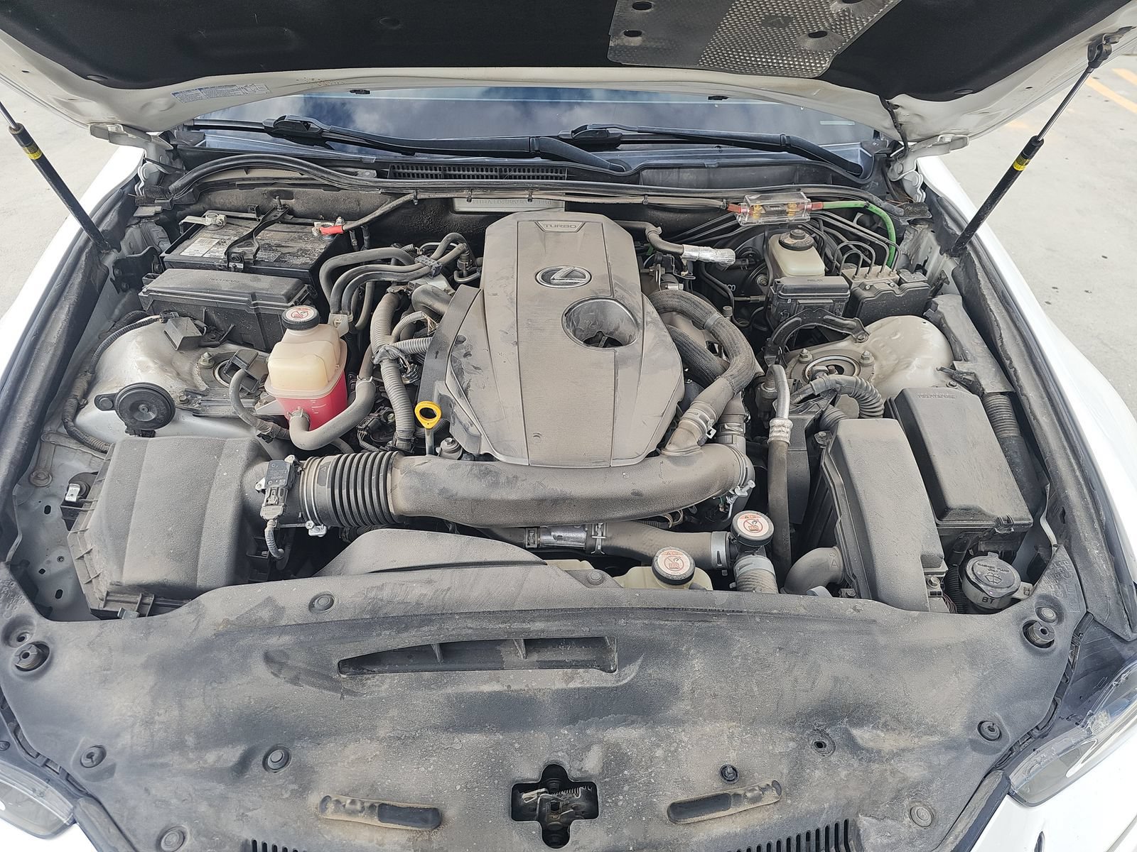 Used 2019 Lexus IS 300 RWD image 8