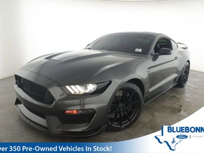 Used 2016 Ford Mustang Shelby GT350 w/ Technology Package