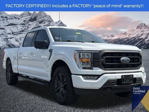 Used 2023 Ford F150 XLT w/ Equipment Group 302A High AWD/4WD image 1