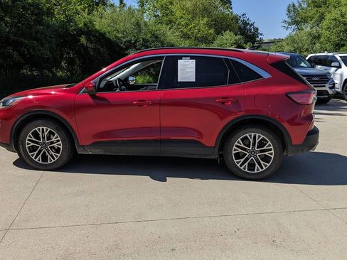 Used 2021 Ford Escape SEL FWD image 6