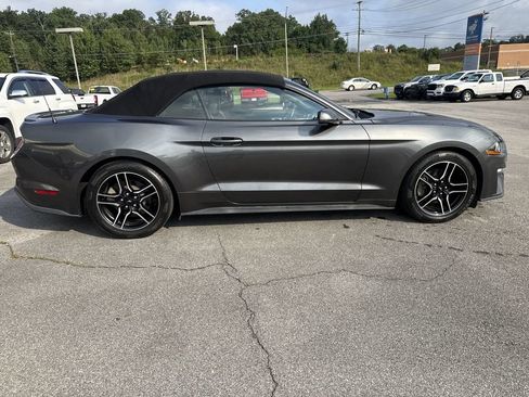 Used 2018 Ford Mustang Premium RWD image 4