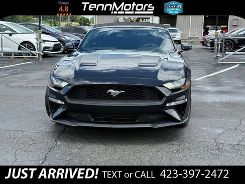 Used 2018 Ford Mustang Premium w/ Equipment Group 201A RWD image 3
