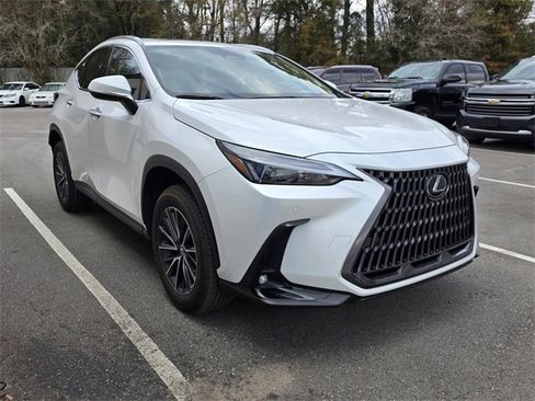 Certified 2025 Lexus NX 250 250 Premium image 1